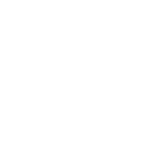 Security badge